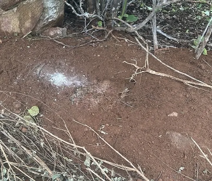 Polícia Militar encontra corpo enterrado em cova rasa na zona rural de Catunda